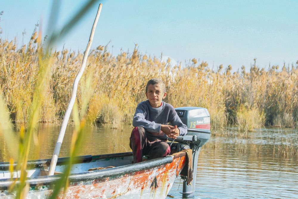 Photograph by Amin Jamei