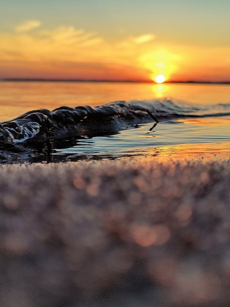 Photograph by Елена Шишкина