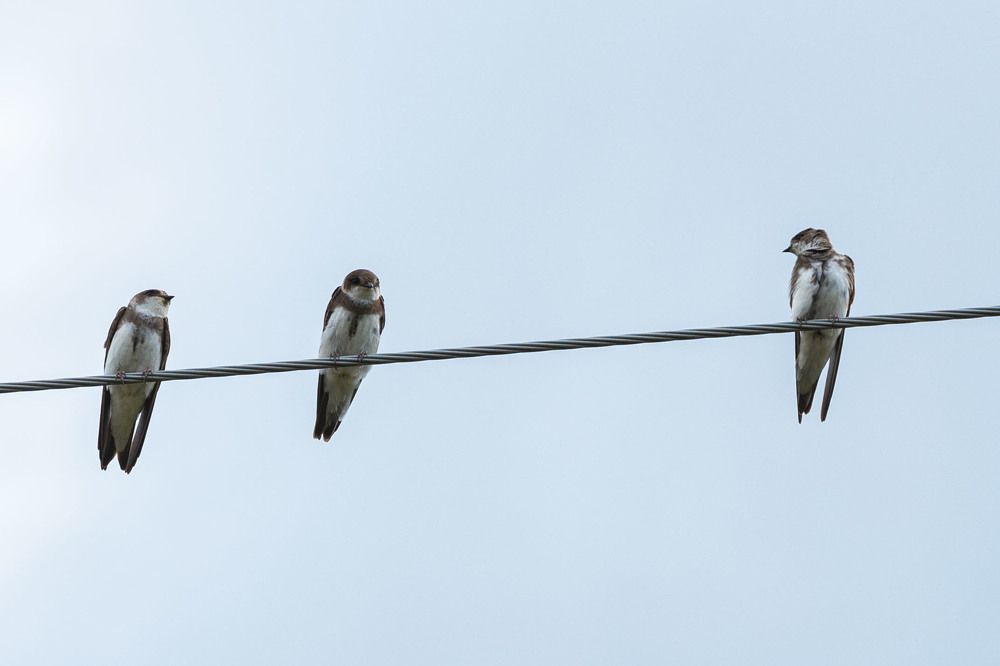 Photograph by ИРЕНА Цурпал