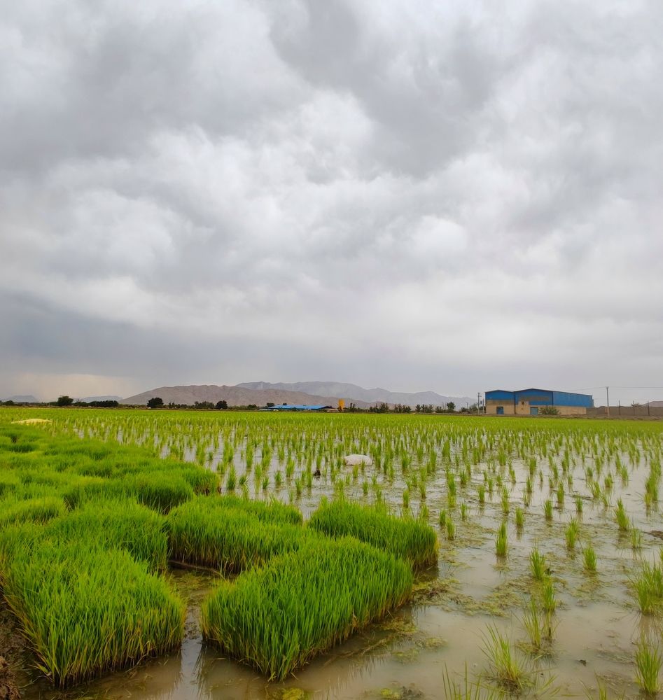 Photograph by Kamran Shirani