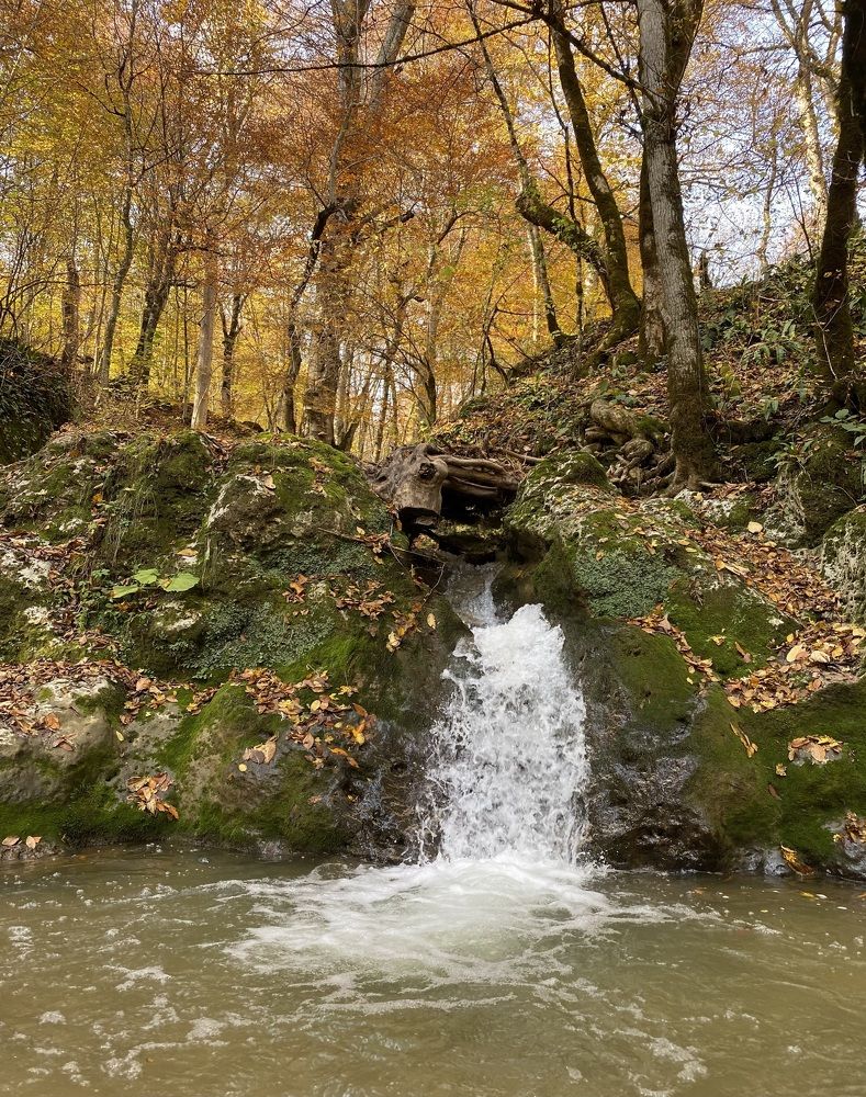 Photograph by Алиса Лукина