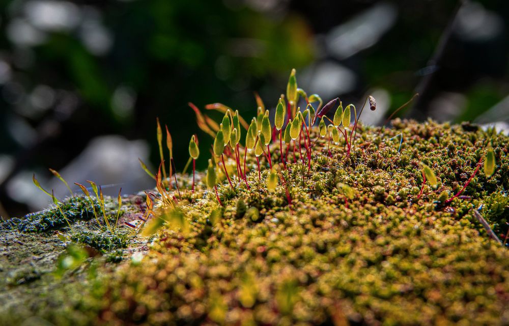 Photograph by Vitalii Kaznin