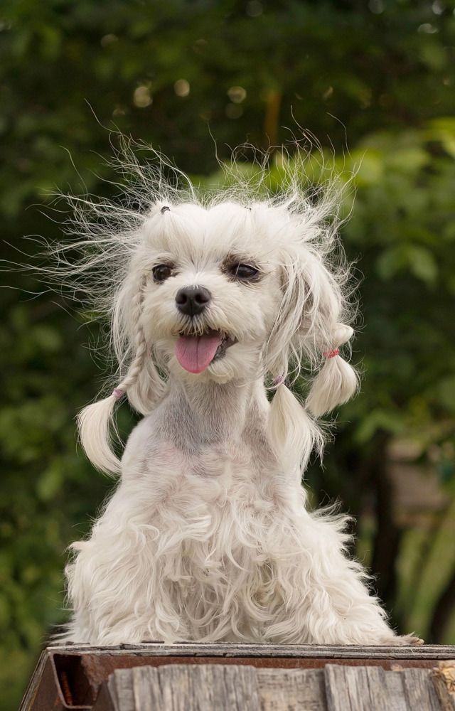 Photograph by Наталья Гашинская