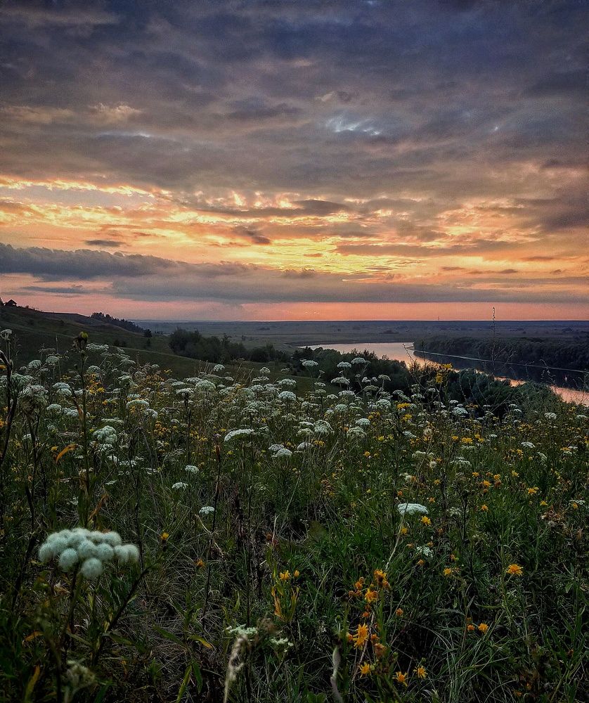 Photograph by Ольга Мартьянова