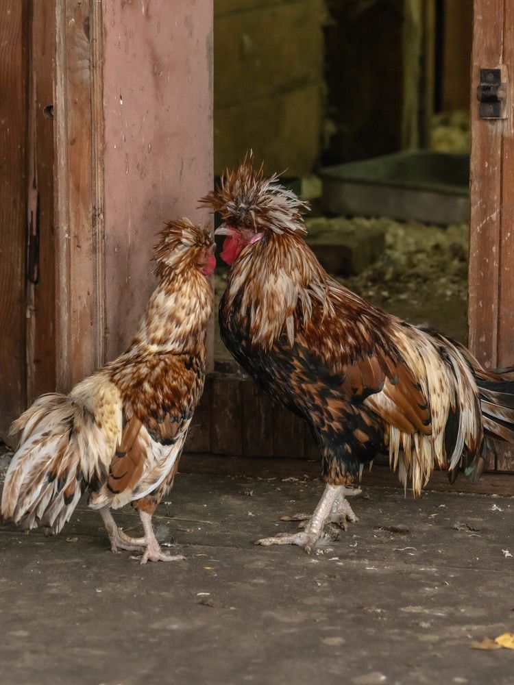 Давай-ка поговорим!