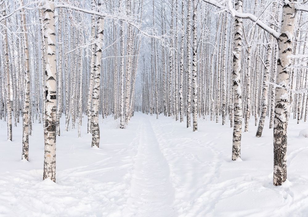 Фотография автора Карепанов Евгений