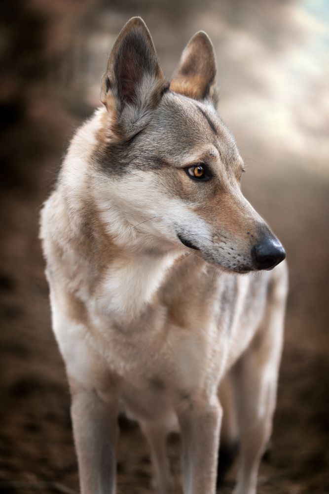 Фотография автора Ana Sánchez