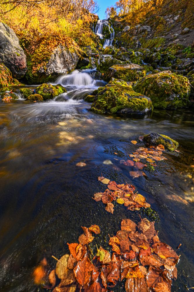 Осеннее настроение