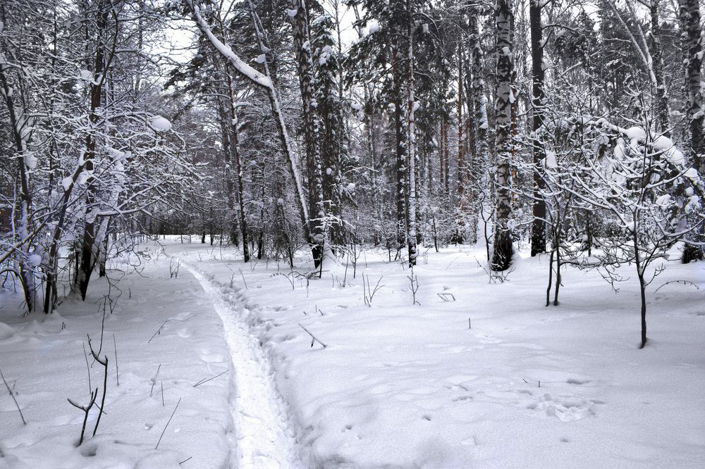 Photograph by Борис Большаков