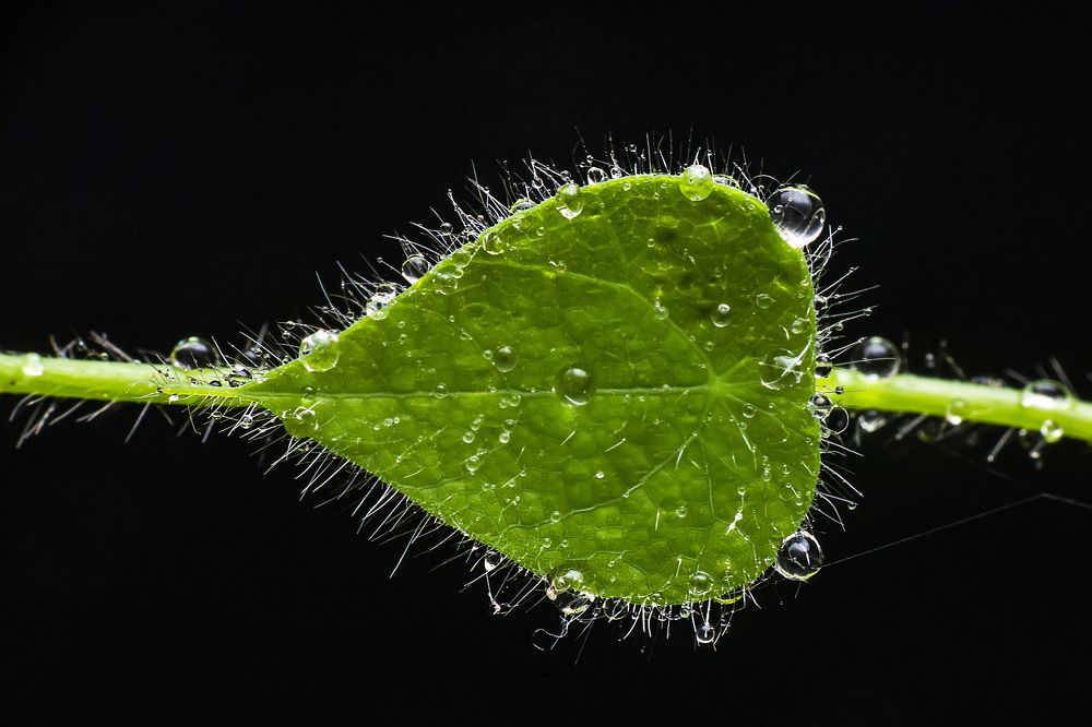 Фотография автора NeCoTi ChonTin