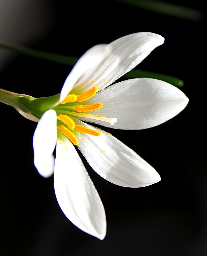 Photograph by 