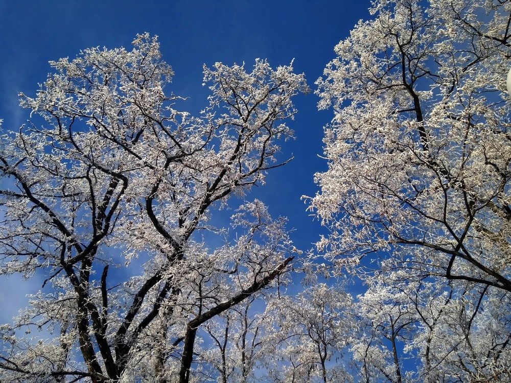 Photograph by Владимир Заборонок