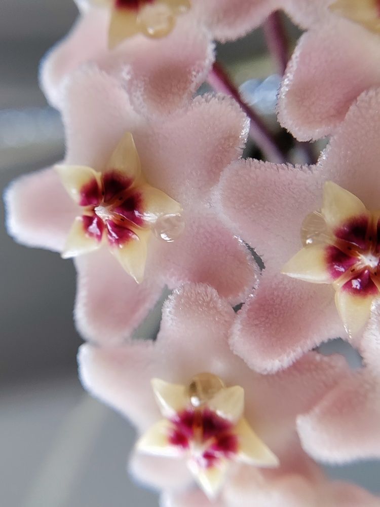 Photograph by Елена Шишкина