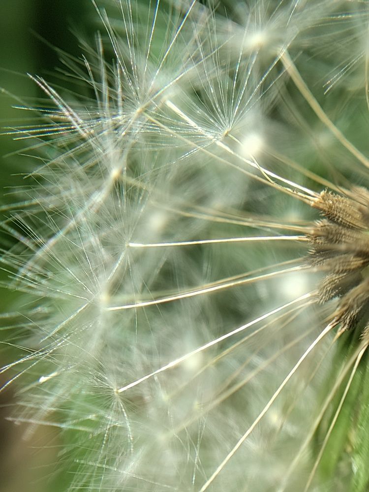 Photograph by Елена Шишкина