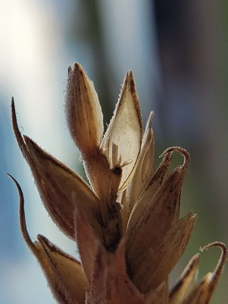 Photograph by Елена Шишкина