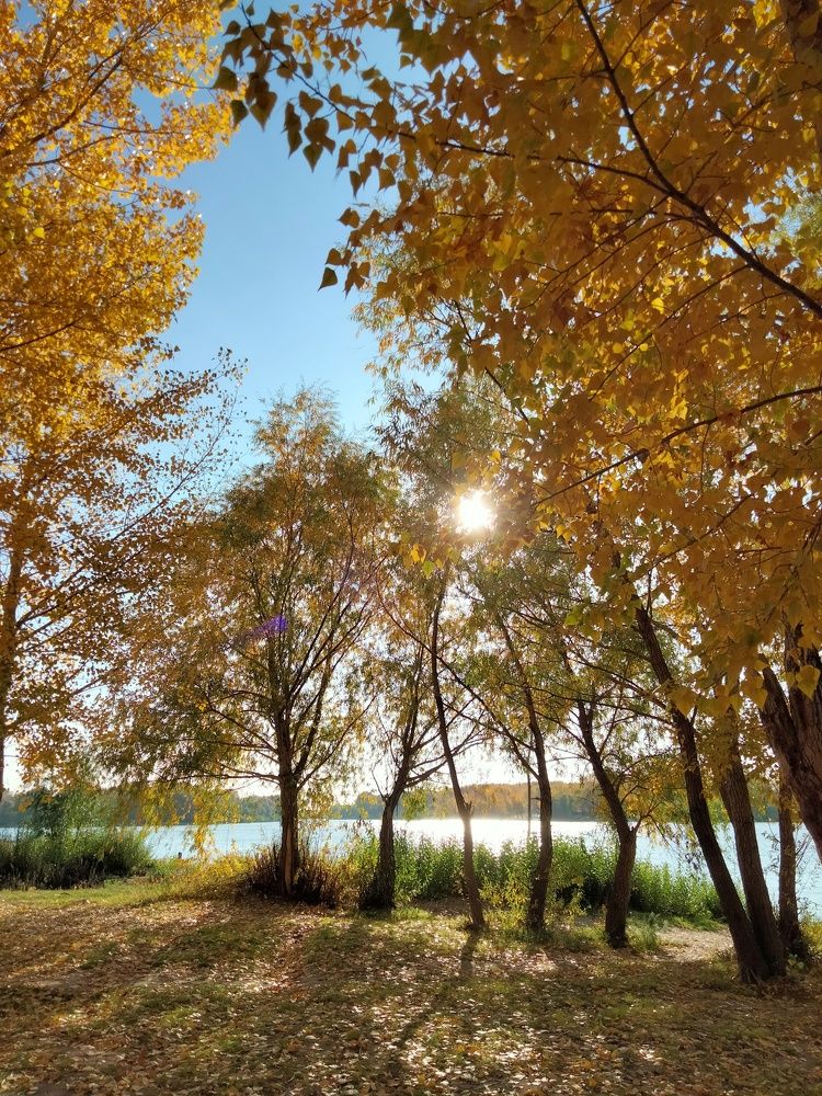 Фотография автора Динара Каймиденова