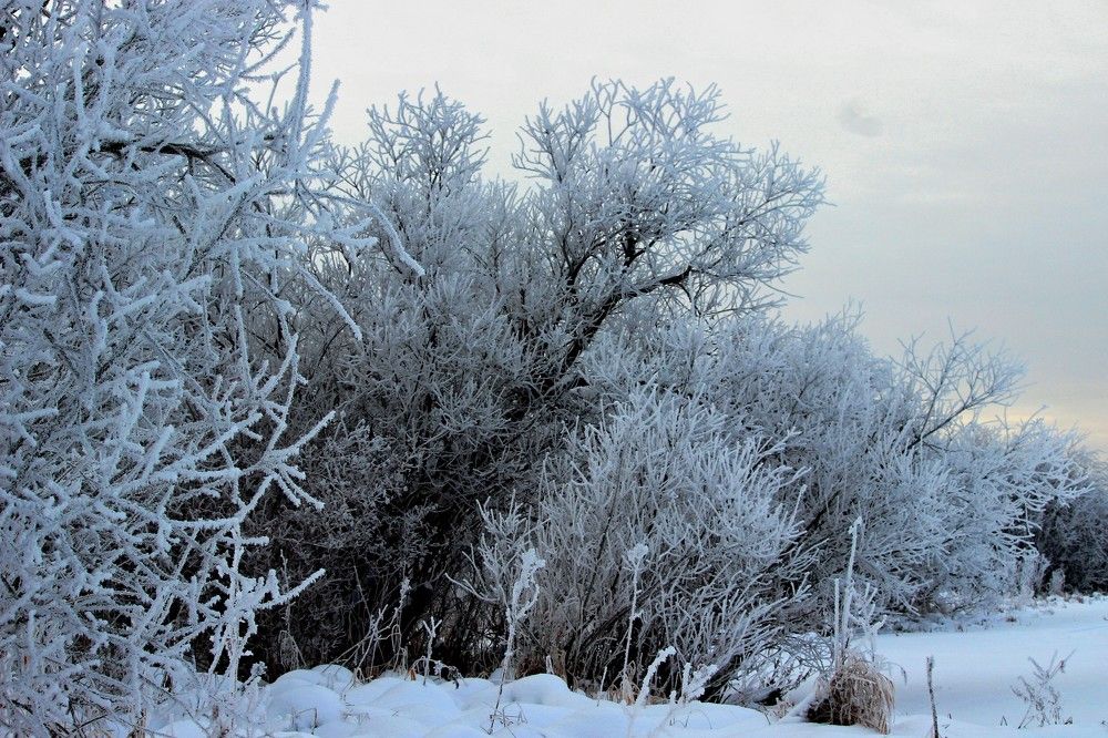 Photograph by Галина Мазур