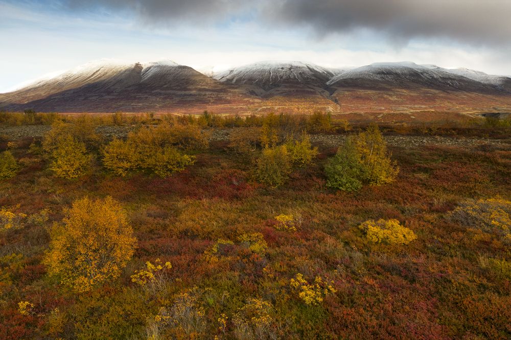 Photograph by Idan Livni