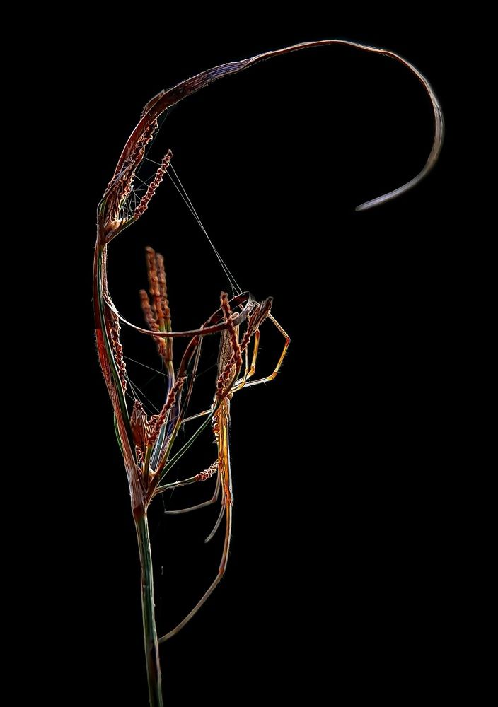 Photograph by Debolina Barman