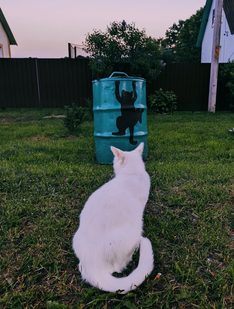 Photograph by Владимир Заборонок