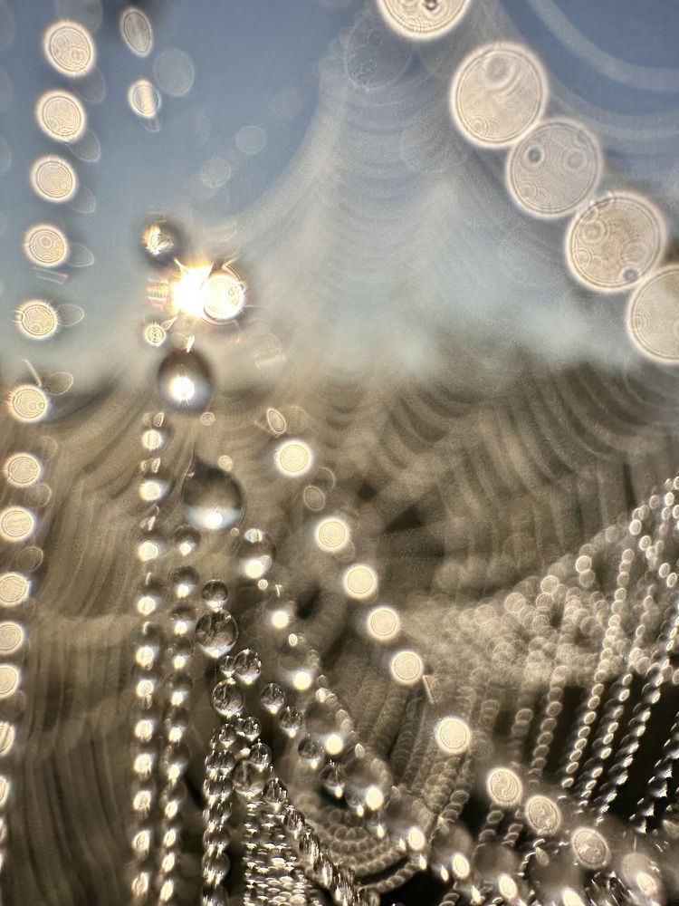 Photograph by Лариса Акинчиц