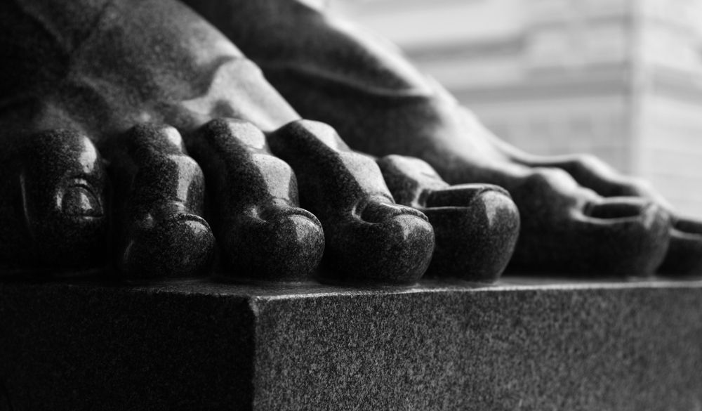 Photograph by елена