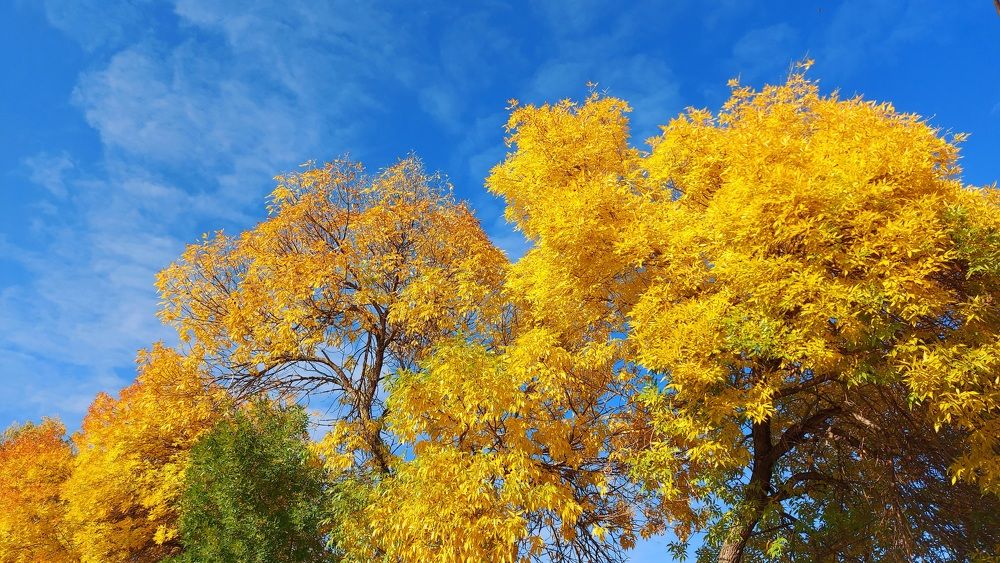 Photograph by Татьяна Биргулиева