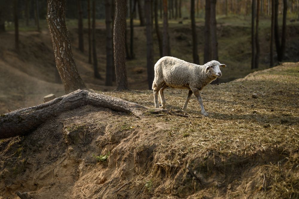 Photograph by Дарья Кончакова