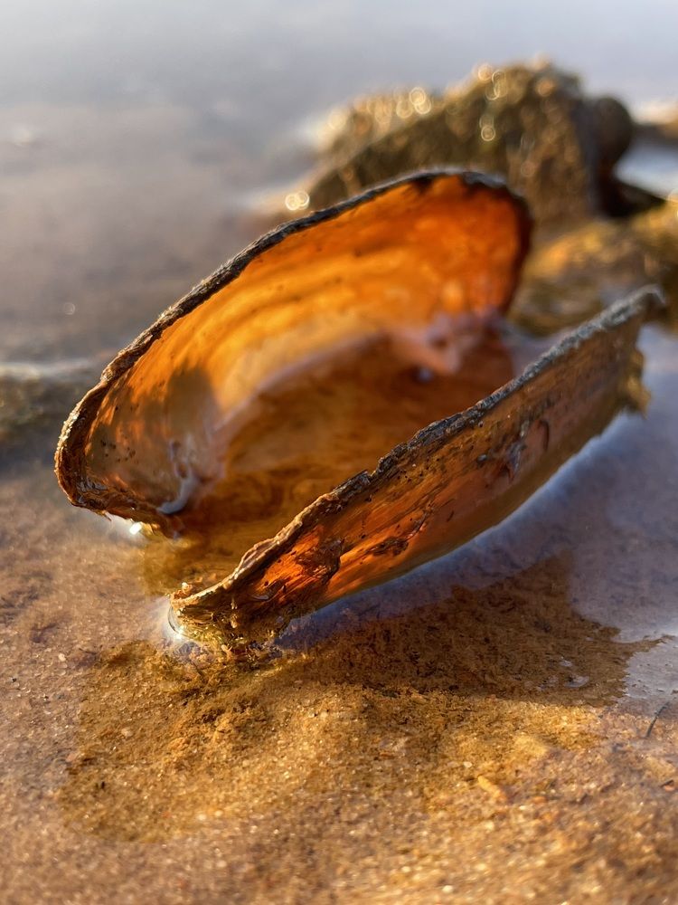 Photograph by Анна Пигулевская