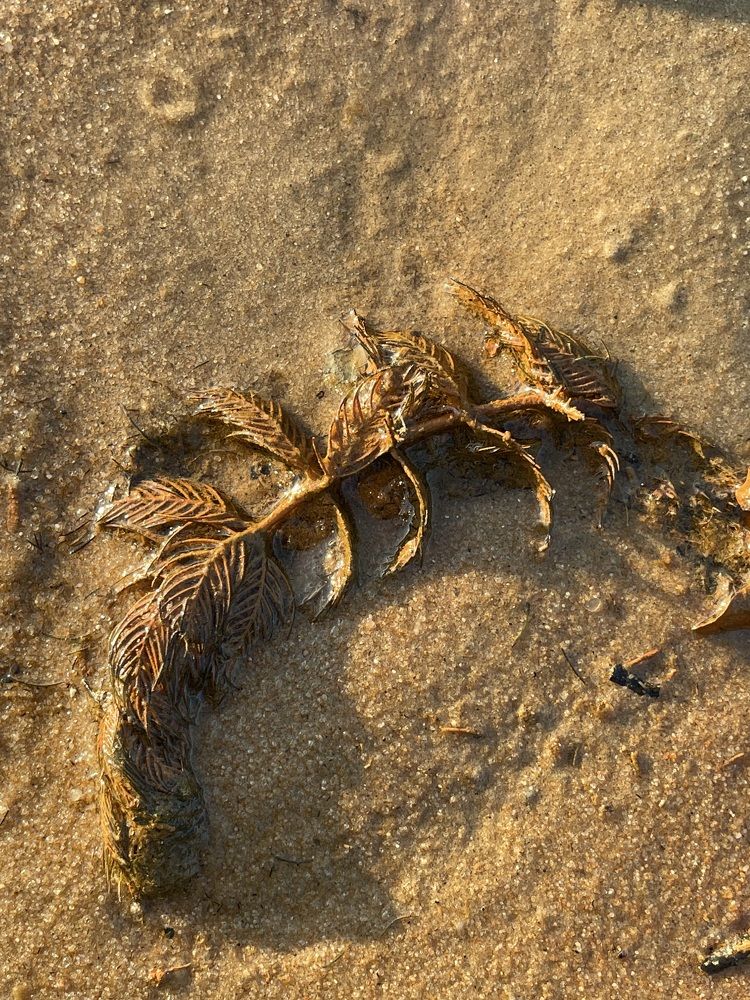 Photograph by Анна Пигулевская