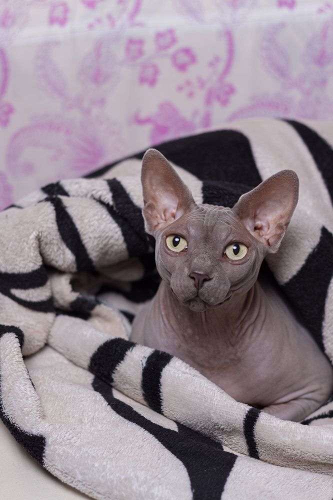 Photograph by Николай Травкин