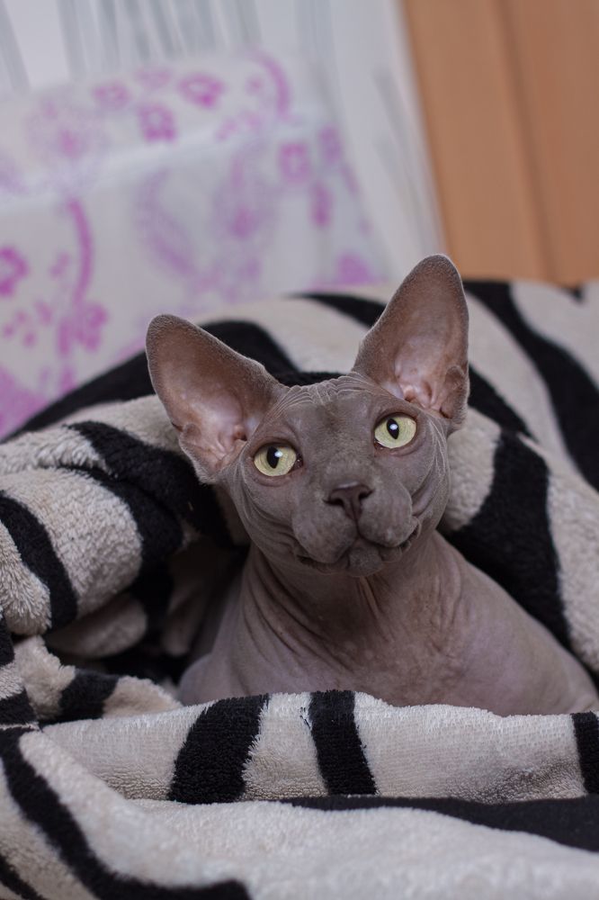 Photograph by Николай Травкин