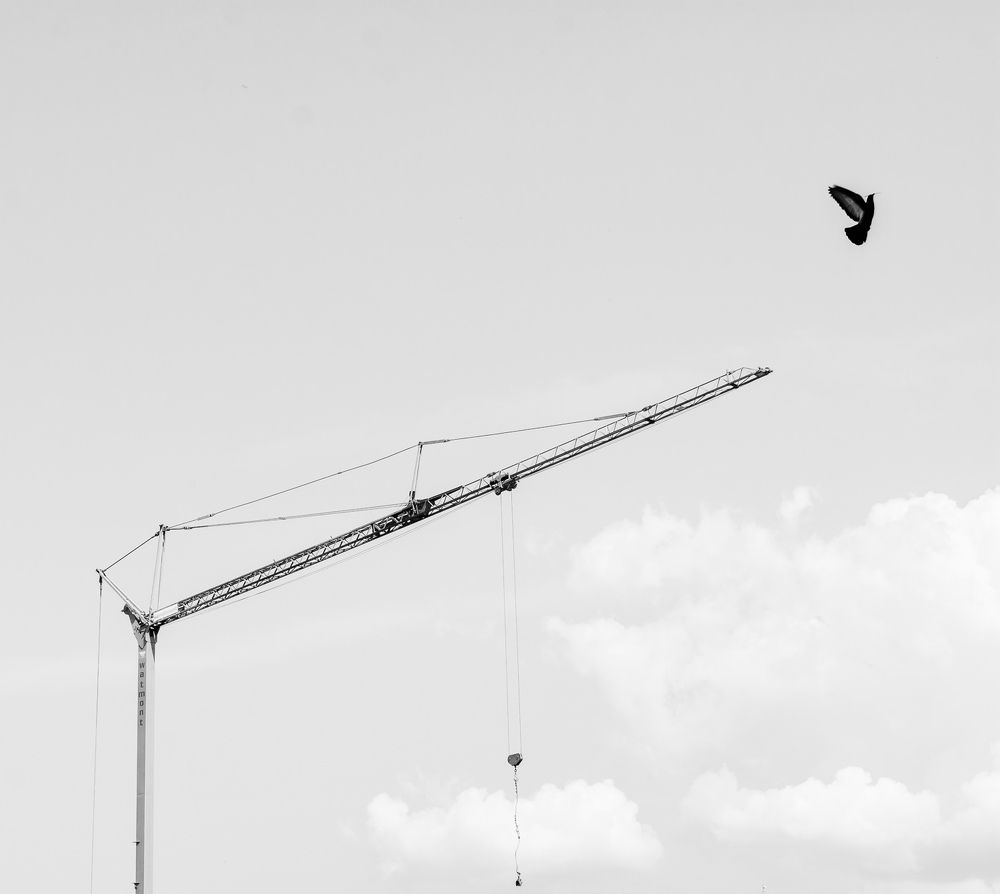 Photograph by Zeljko Grganic