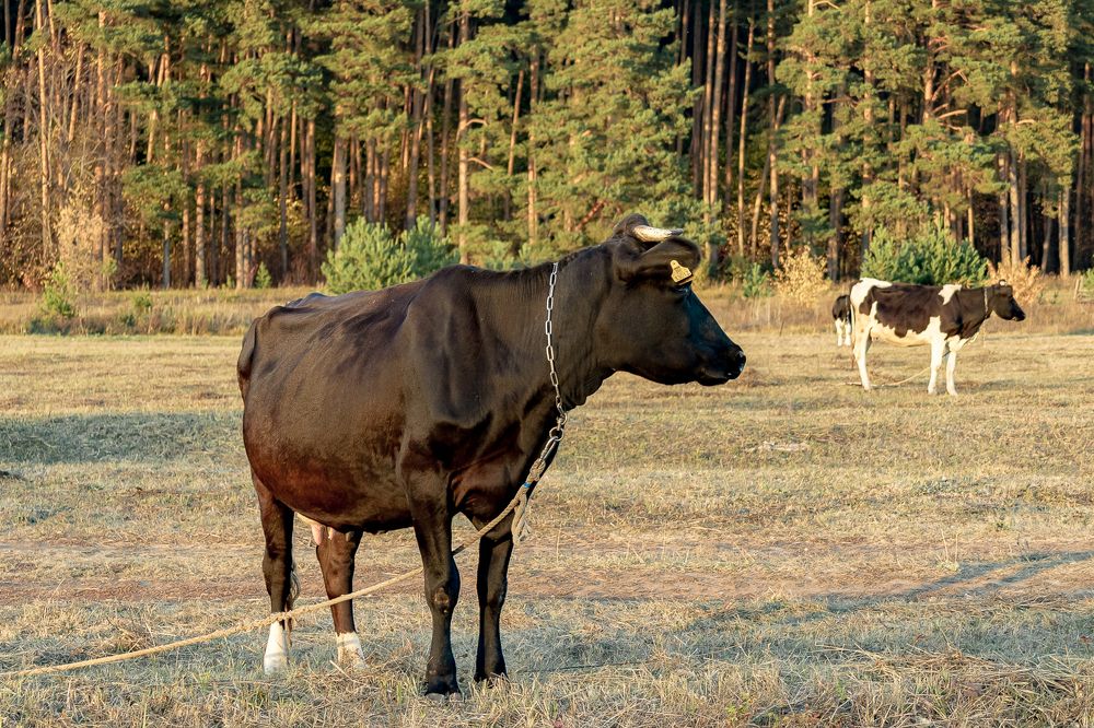 Photograph by Кермен Манджиева