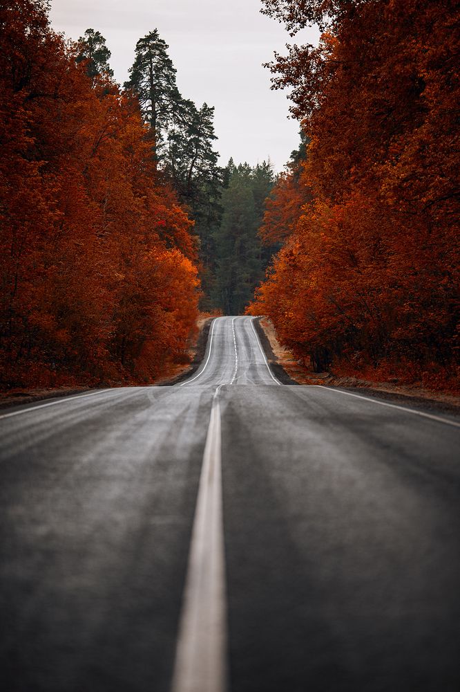 Photograph by Елена Алешечкина