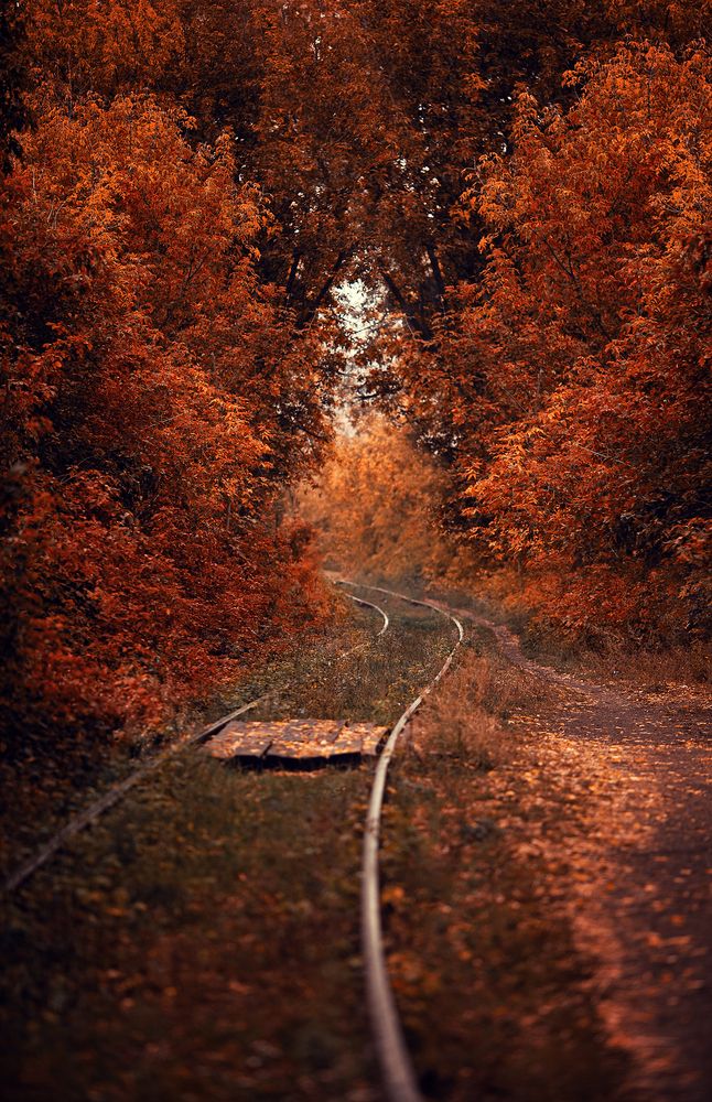 Photograph by Елена Алешечкина