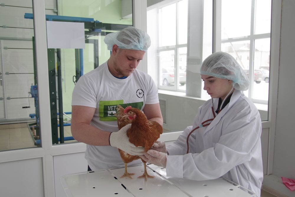 Photograph by Александр Трошин