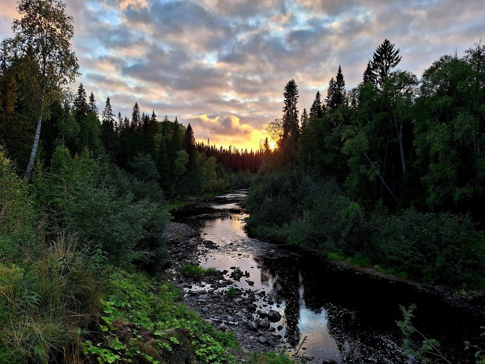 Photograph by Елена Петрова