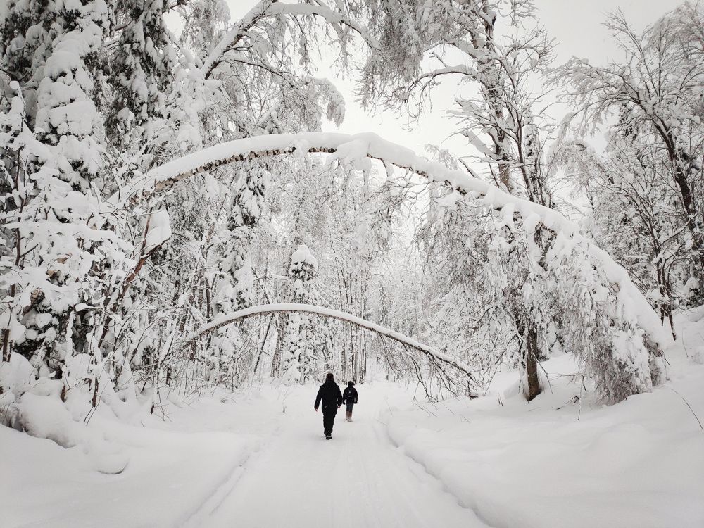 Photograph by Aleksandr Kolonsky