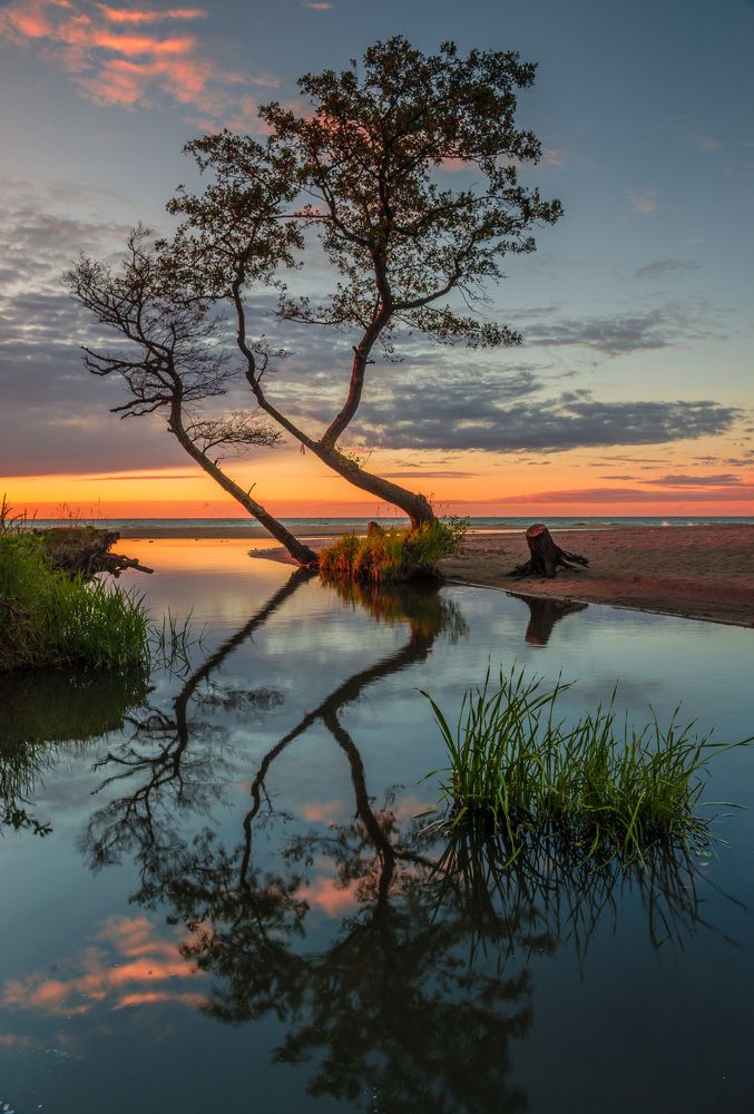 Photograph by Дмитрий Моисеенко