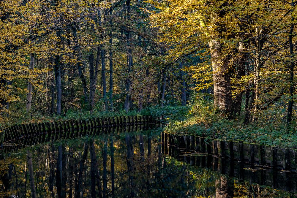 Питьевой канал