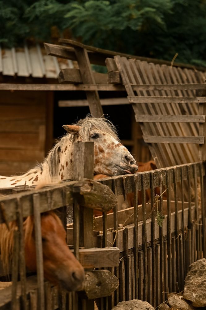 Photograph by Наталья Гришаева