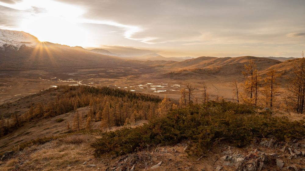 Photograph by Виктория Мишина