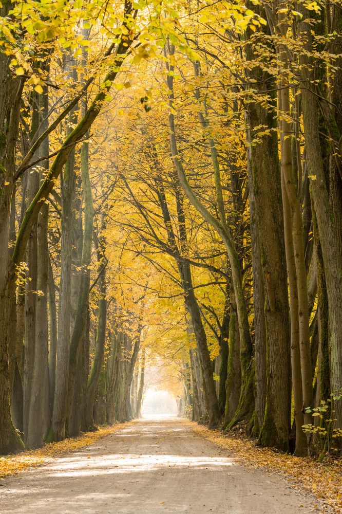 Photograph by Дмитрий Моисеенко