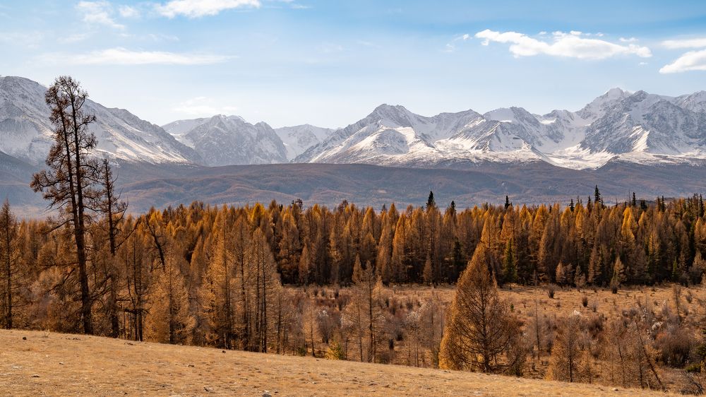 Photograph by Виктория Мишина