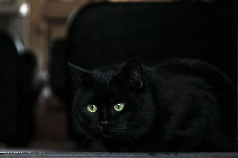 Photograph by Людмила Прибылова