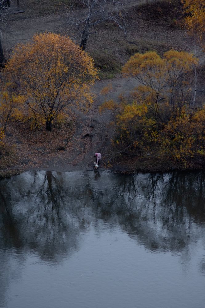 Photograph by Валерий Лапоног