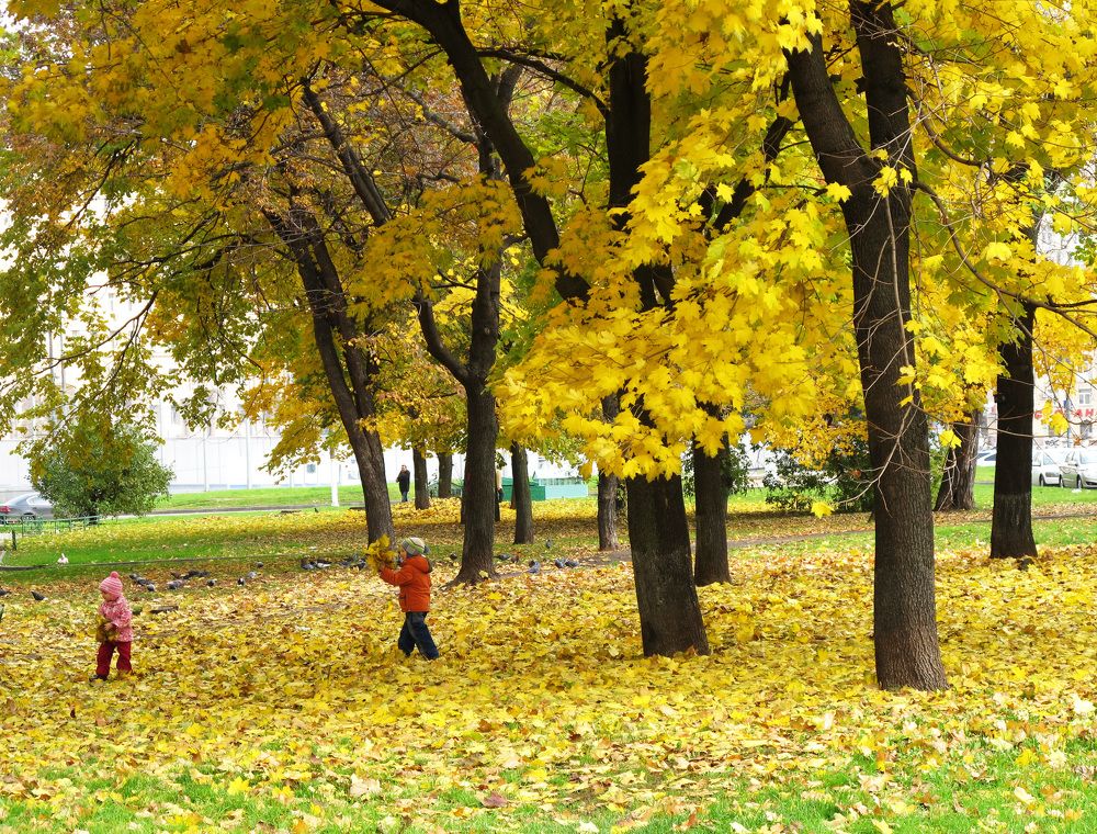 Золото осени