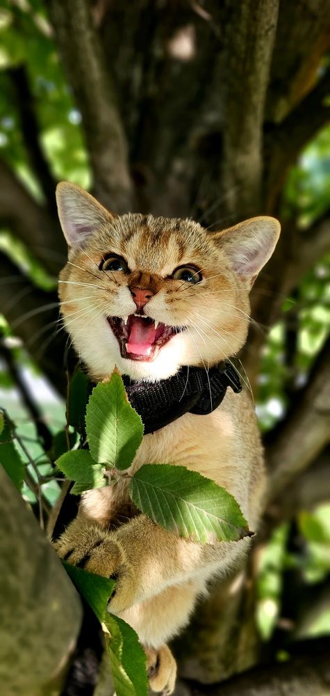 Photograph by INNA KHOMENKO