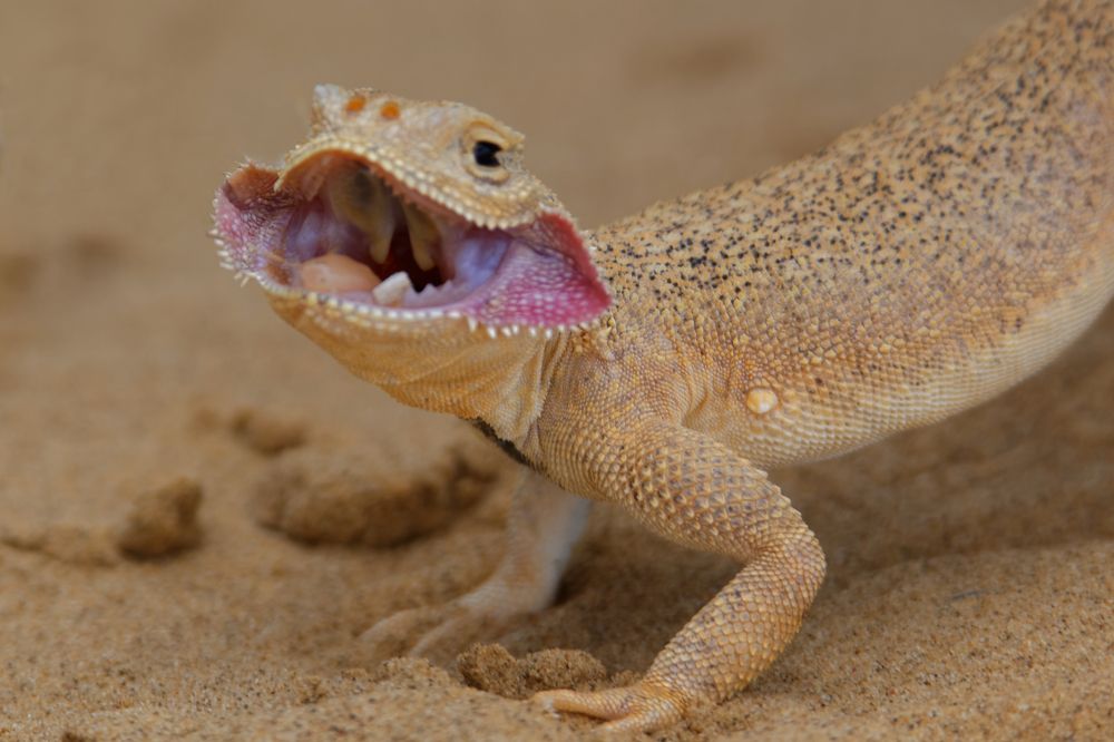 Photograph by Antonio